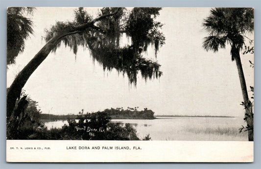 LAKE DORA & PALM ISLAND ANTIQUE POSTCARD