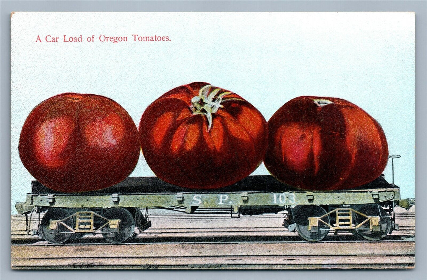 OREGON TOMATOES RAILROAD CAR LOAD EXAGGERATED ANTIQUE POSTCARD