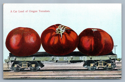OREGON TOMATOES RAILROAD CAR LOAD EXAGGERATED ANTIQUE POSTCARD