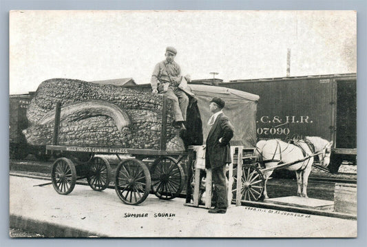 EXAGGERATED SUMMER SQUASH at RAILROAD STATION ANTIQUE POSTCARD WELLS FARGO CO