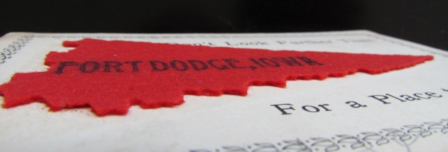 FORT DODGE IA APPLIED VELVET ANTIQUE POSTCARD