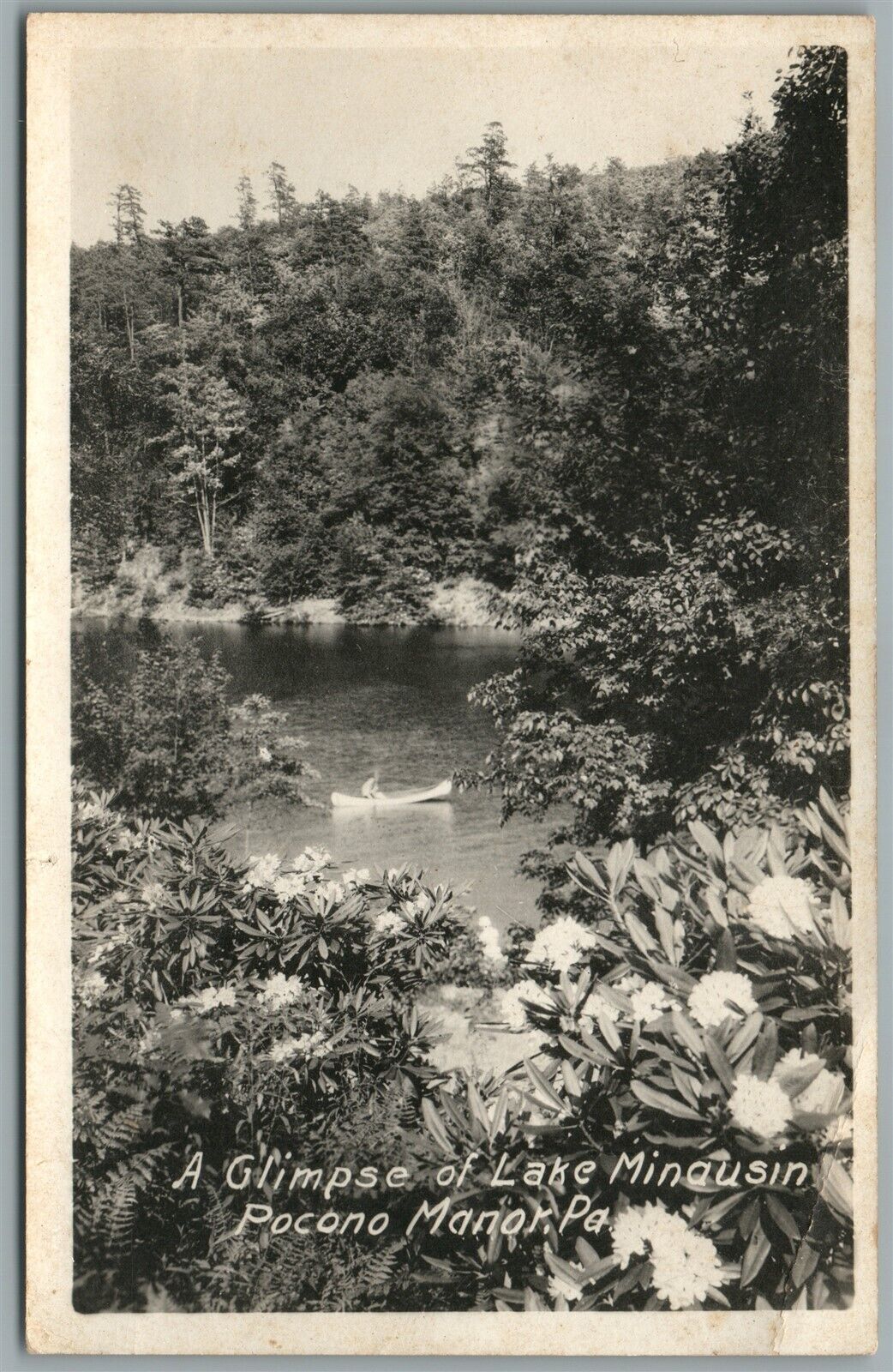 POCONO MANOR PA GLIMPSE OF LAKE MINAUSIN ANTIQUE REAL PHOTO POSTCARD RPPC