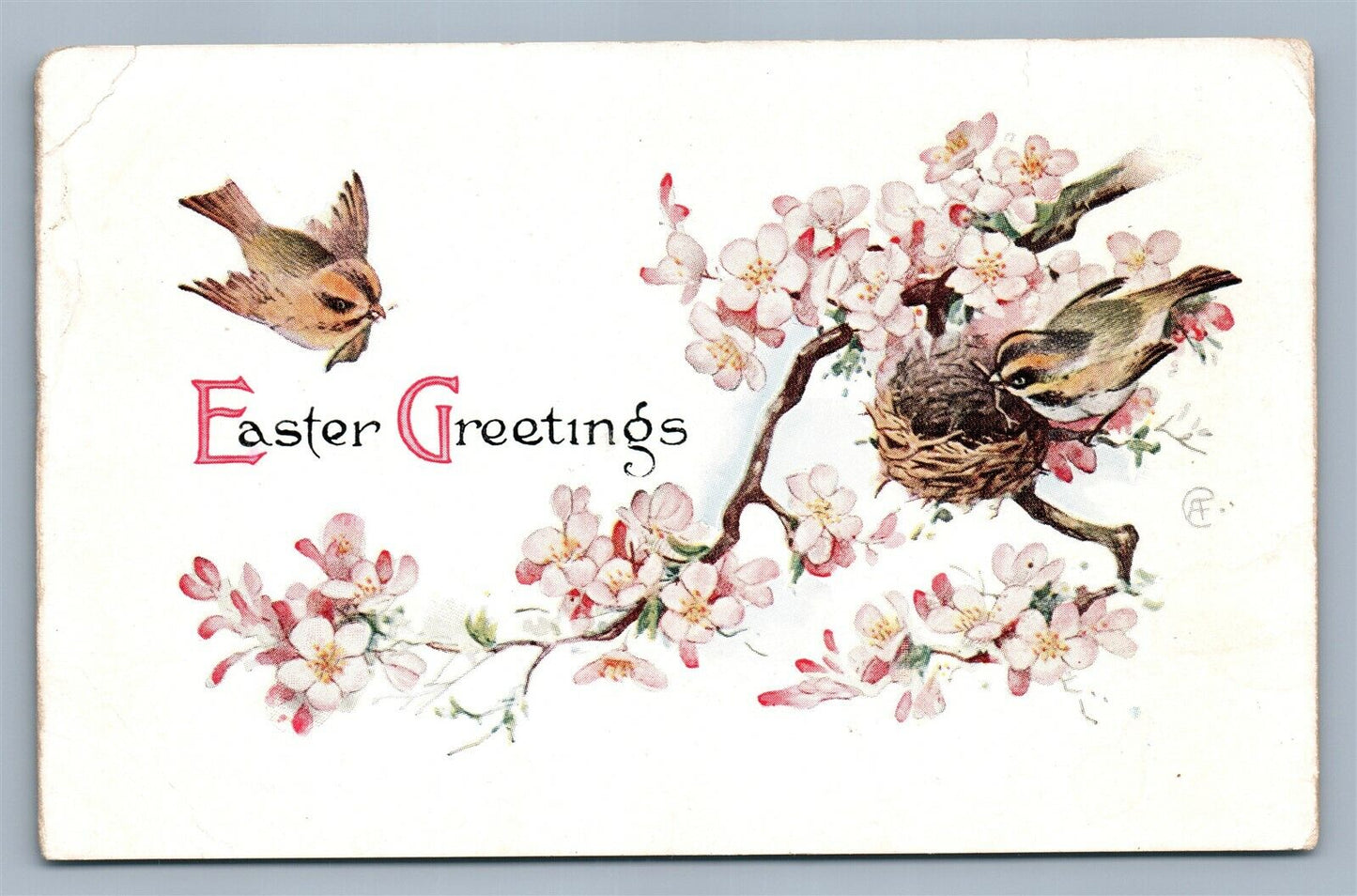 AUBURN IN POST CARD WHOLESALE CO. ADVERTISING ANTIQUE POSTCARD