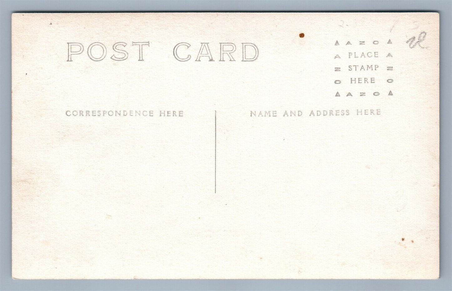 PIGS FARMING ANTIQUE REAL PHOTO POSTCARD RPPC