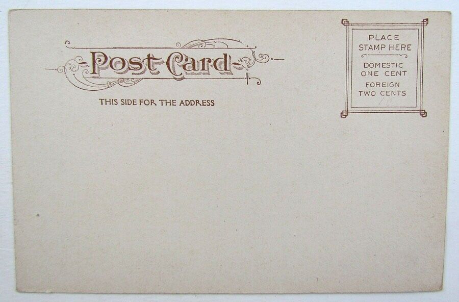 VINTAGE POSTCARD NATURAL TUNNEL NEAR BRISTOL VIRGINIA train railway railroad