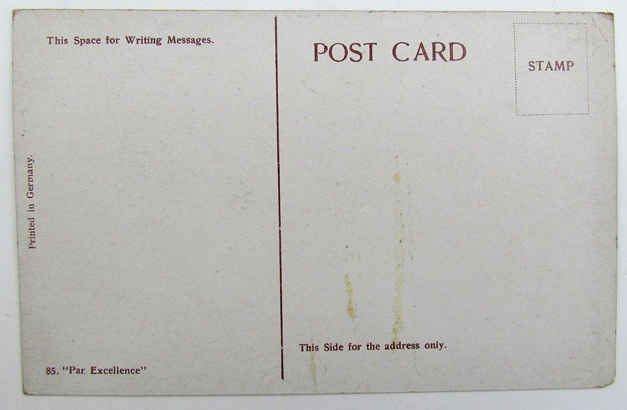 VINTAGE POSTCARD - MELROSE PARK FLATBUSH BROOKLYN NY NEW YORK