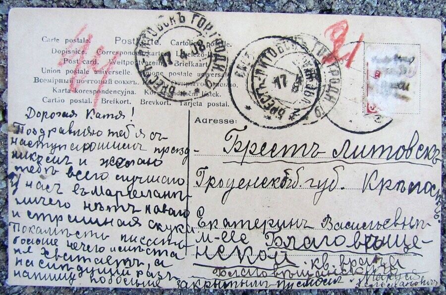 1908 VINTAGE POSTCARD - GIRL w/ HERON SENT TO RUSSIA