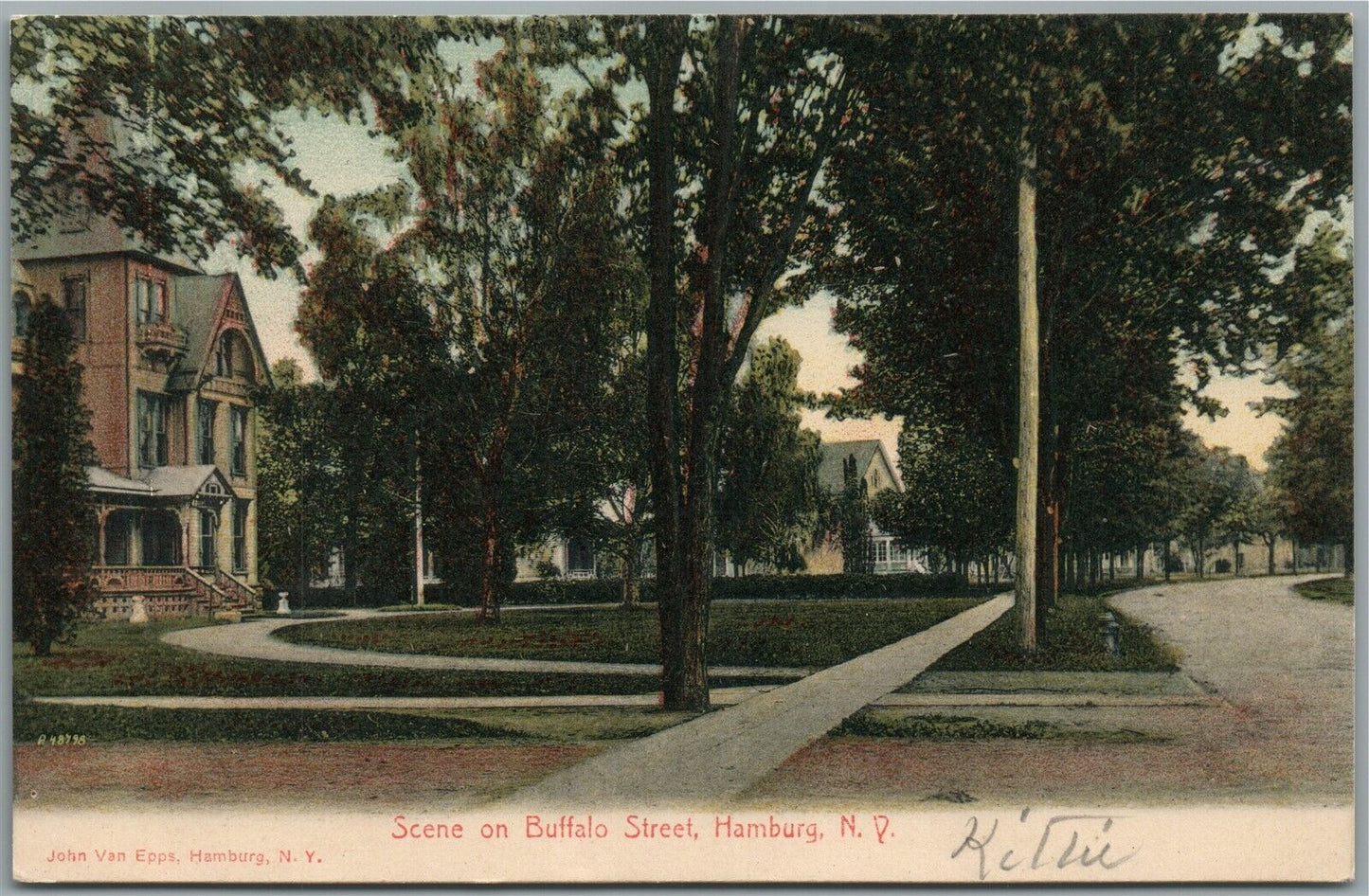 HAMBURG NY BUFFALO STREET ANTIQUE POSTCARD