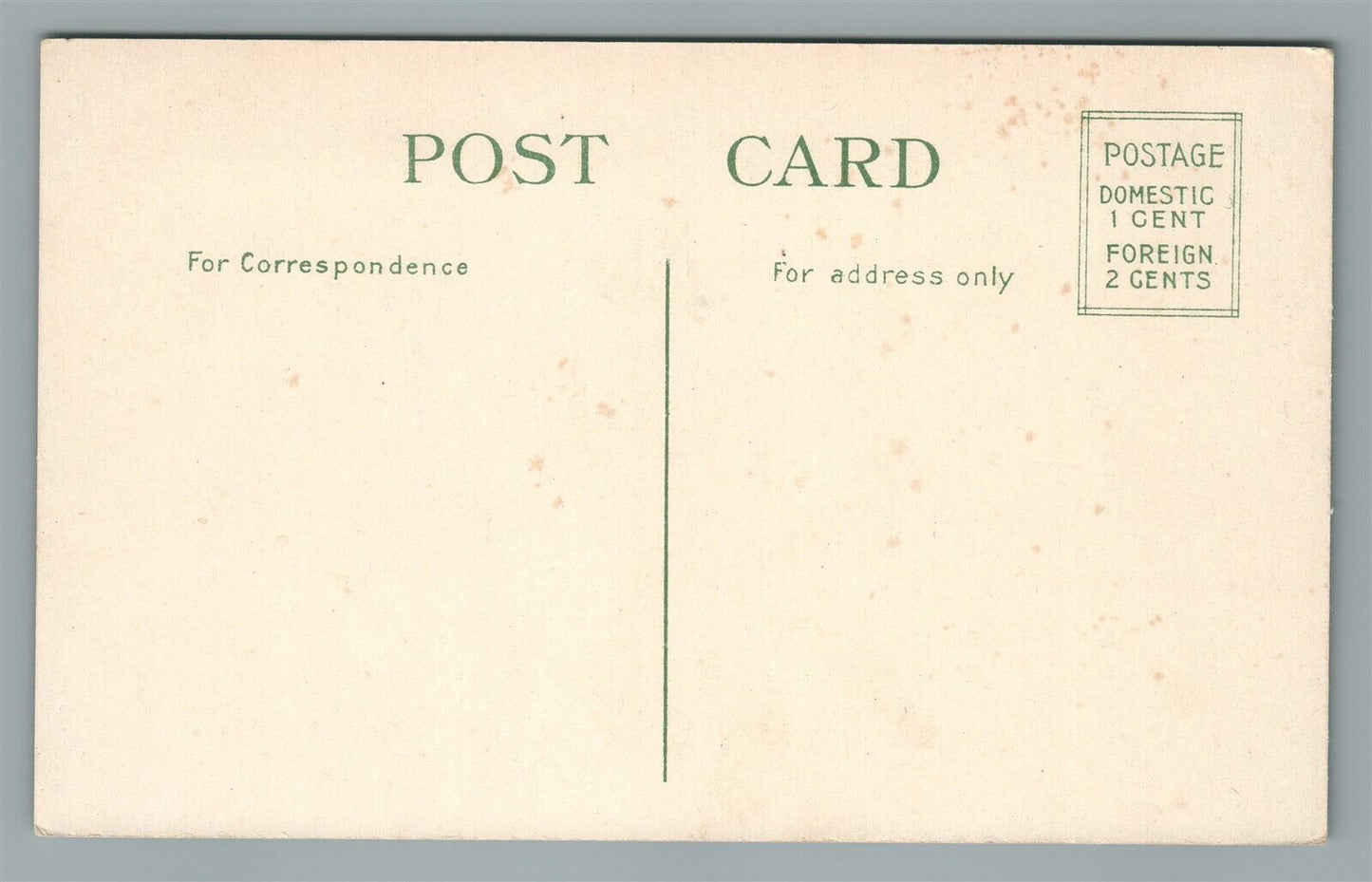 LONG BRANCH NJ CEDAR AVENUE HOLLYWOOD ANTIQUE POSTCARD
