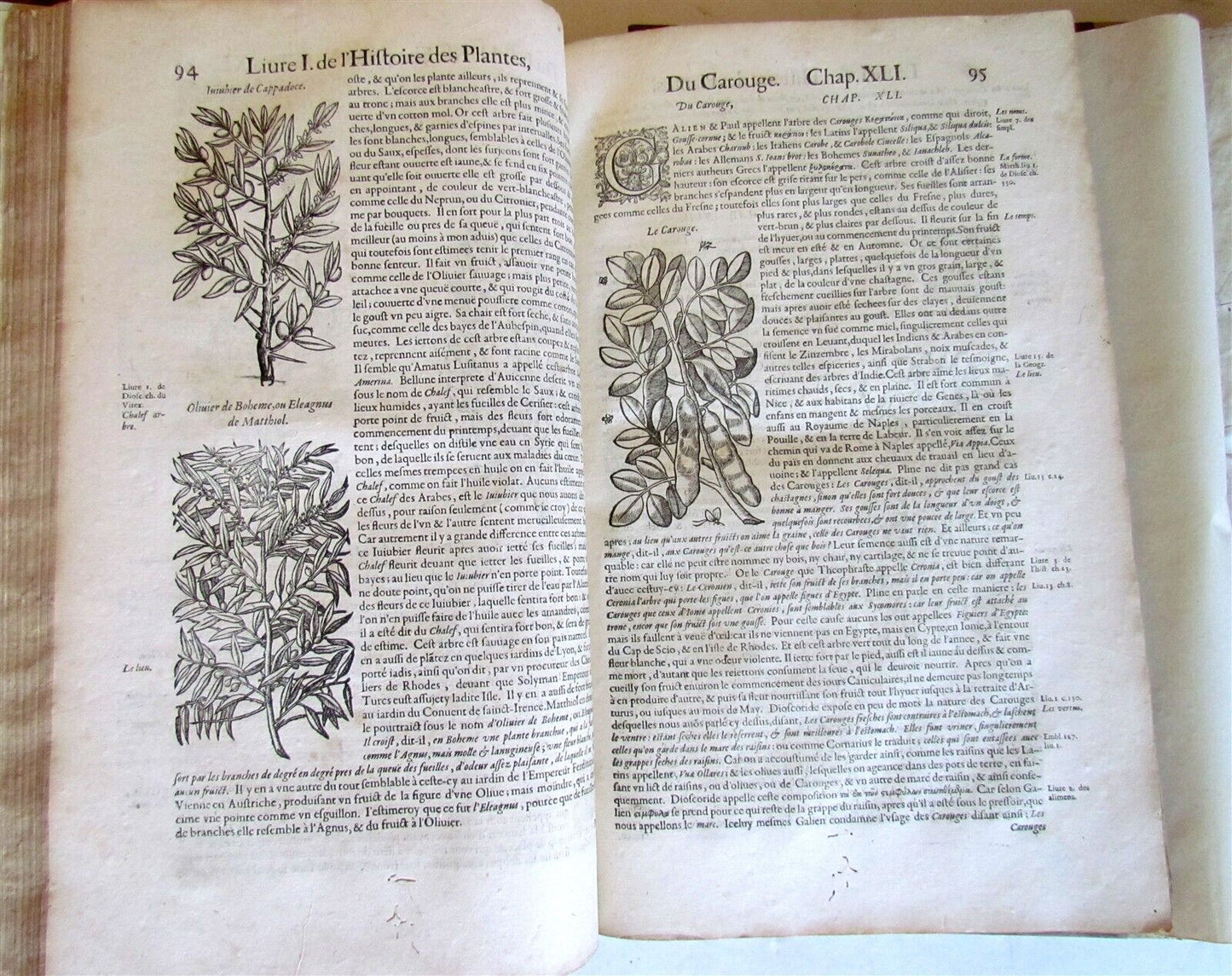 1615 HISTORY of PLANTS by Jacques DALECHAMPS ILLUSTRATED 2 FOLIO VOLUMES antique