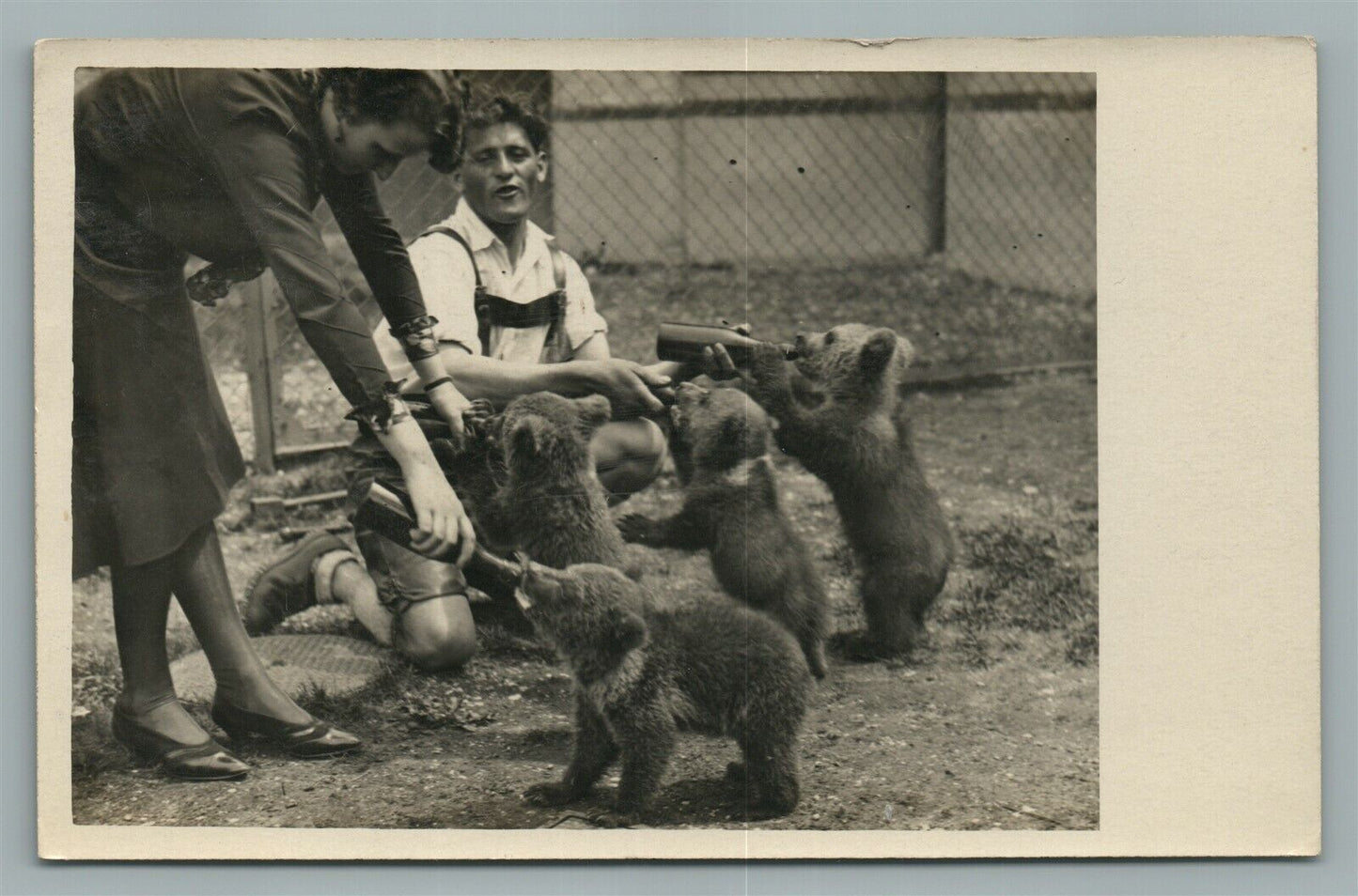 BABY BEARS VINTAGE REAL PHOTO RPPC POSTCARD MUNCHEN ZOO GERMANY