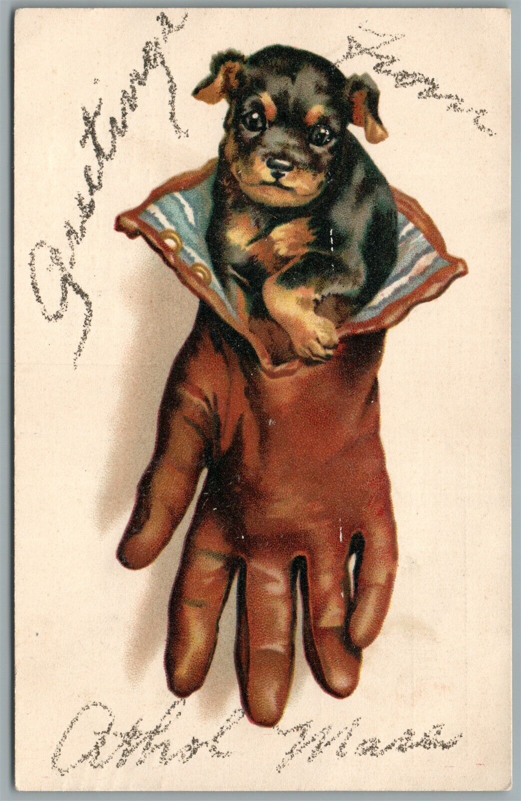 CAT in GLOVE ANTIQUE POSTCARD
