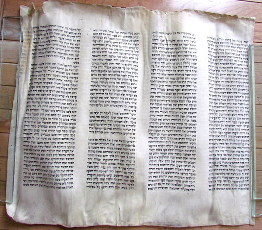 TORAH SCROLL FRAGMENT MANUSCRIPT VELLUM ANTIQUE BIBLE LEVITICUS 8:17-11:22