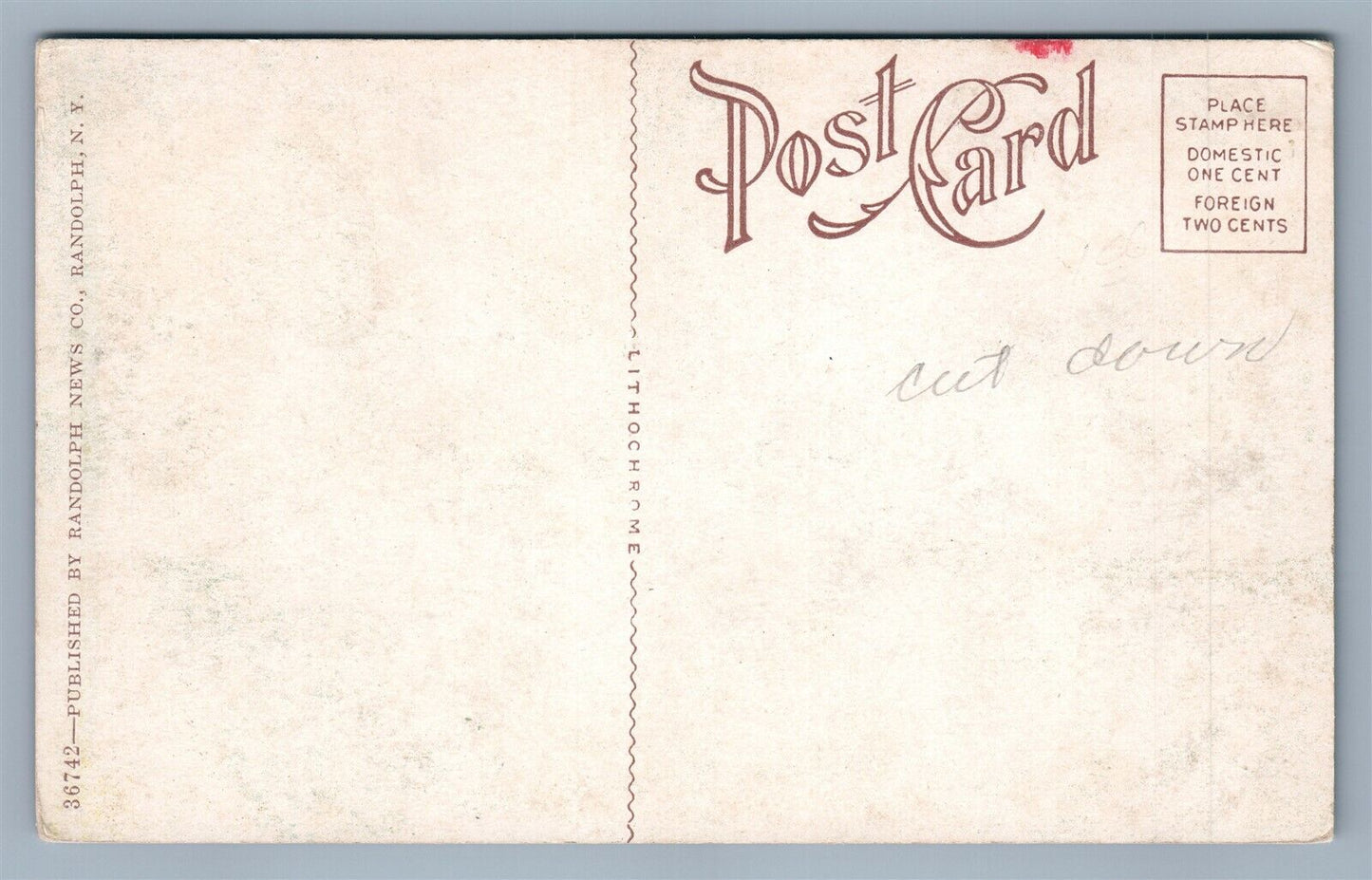 RANDOLPH NY CHILDREN'S HOME ANTIQUE POSTCARD