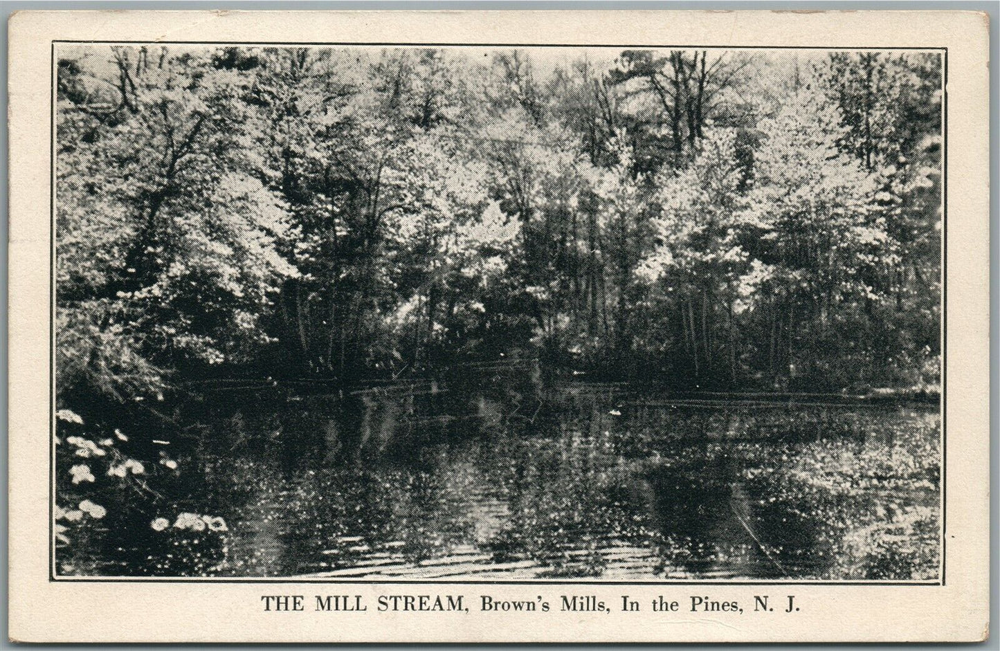 BROWN'S MILLS NJ MILL STREAM ANTIQUE POSTCARD