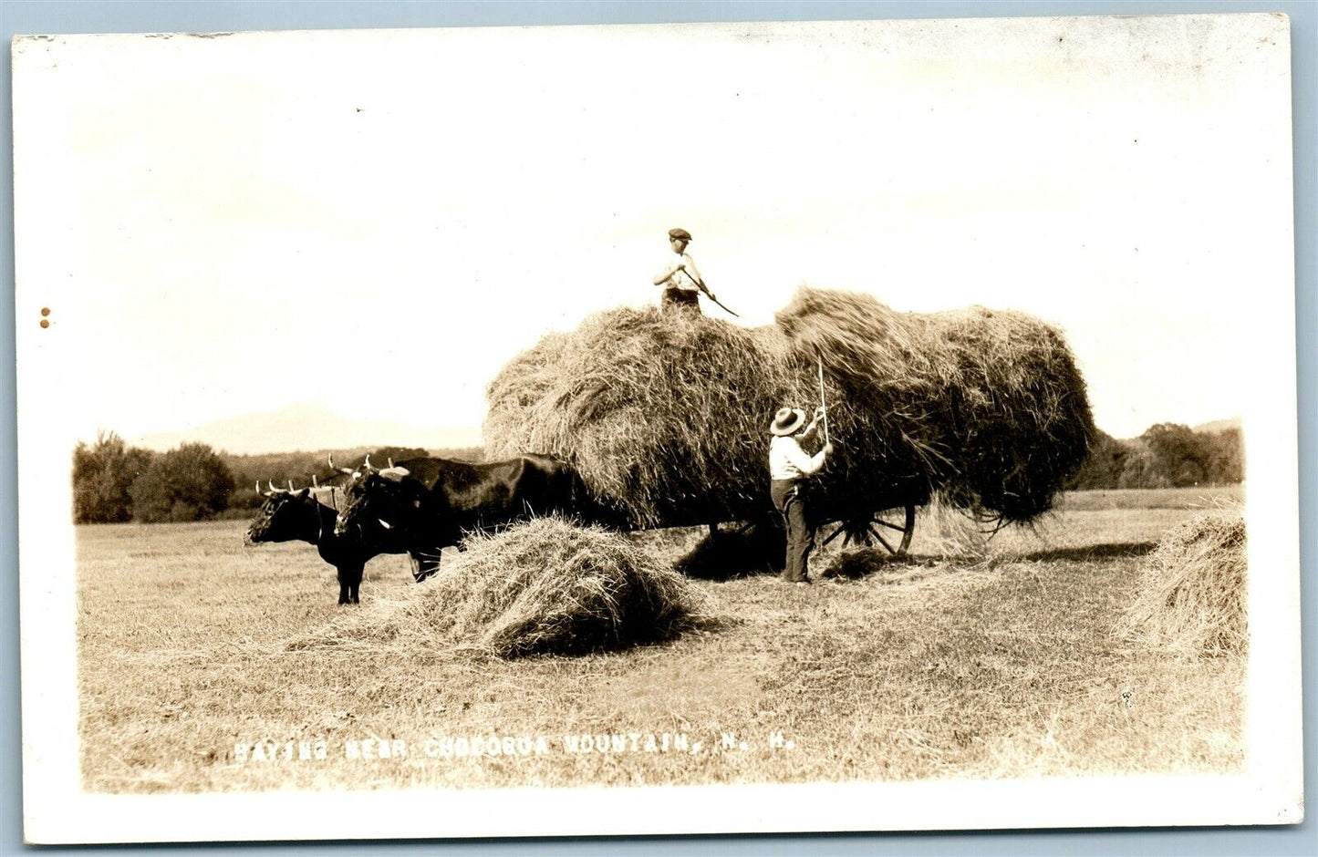 CHOCORUA MOUNTAIN NH HAYING FARMING ANTIQUE REAL PHOTO POSTCARD RPPC