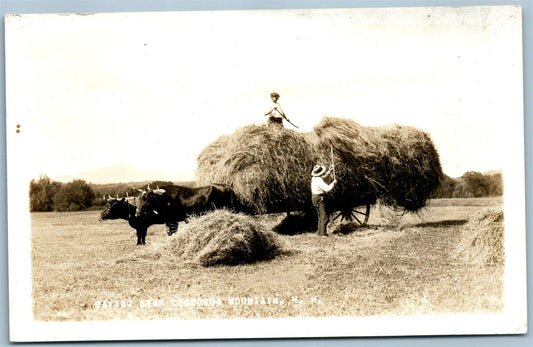 CHOCORUA MOUNTAIN NH HAYING FARMING ANTIQUE REAL PHOTO POSTCARD RPPC