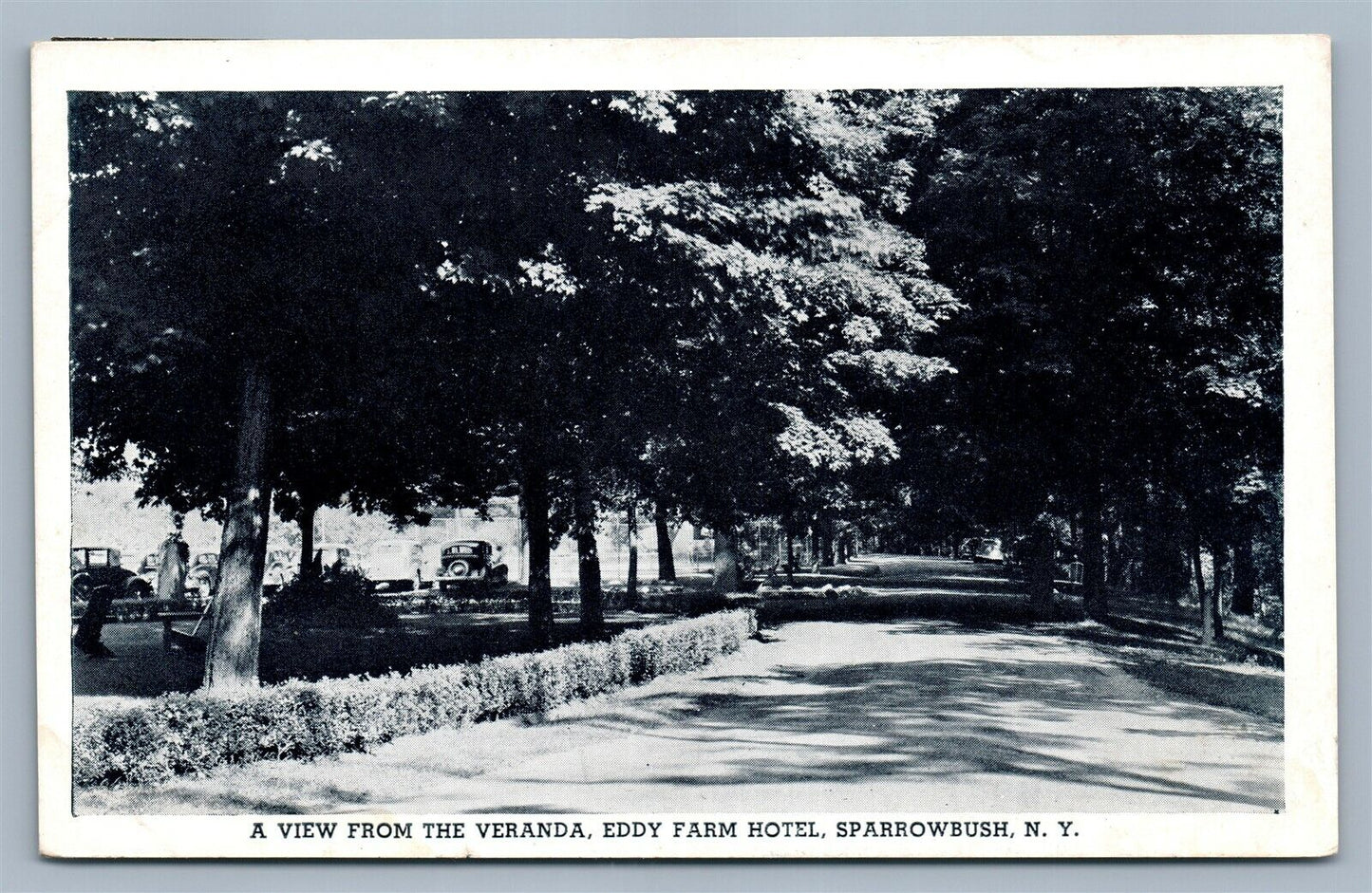 SPARROWBUSH NY EDDY FARM HOTEL ANTIQUE POSTCARD