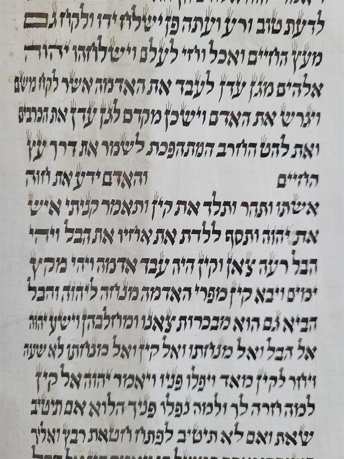 TORAH SCROLL FRAGMENT MANUSCRIPT on VELLUM ANTIQUE BIBLE GENESIS 1:2-5:19