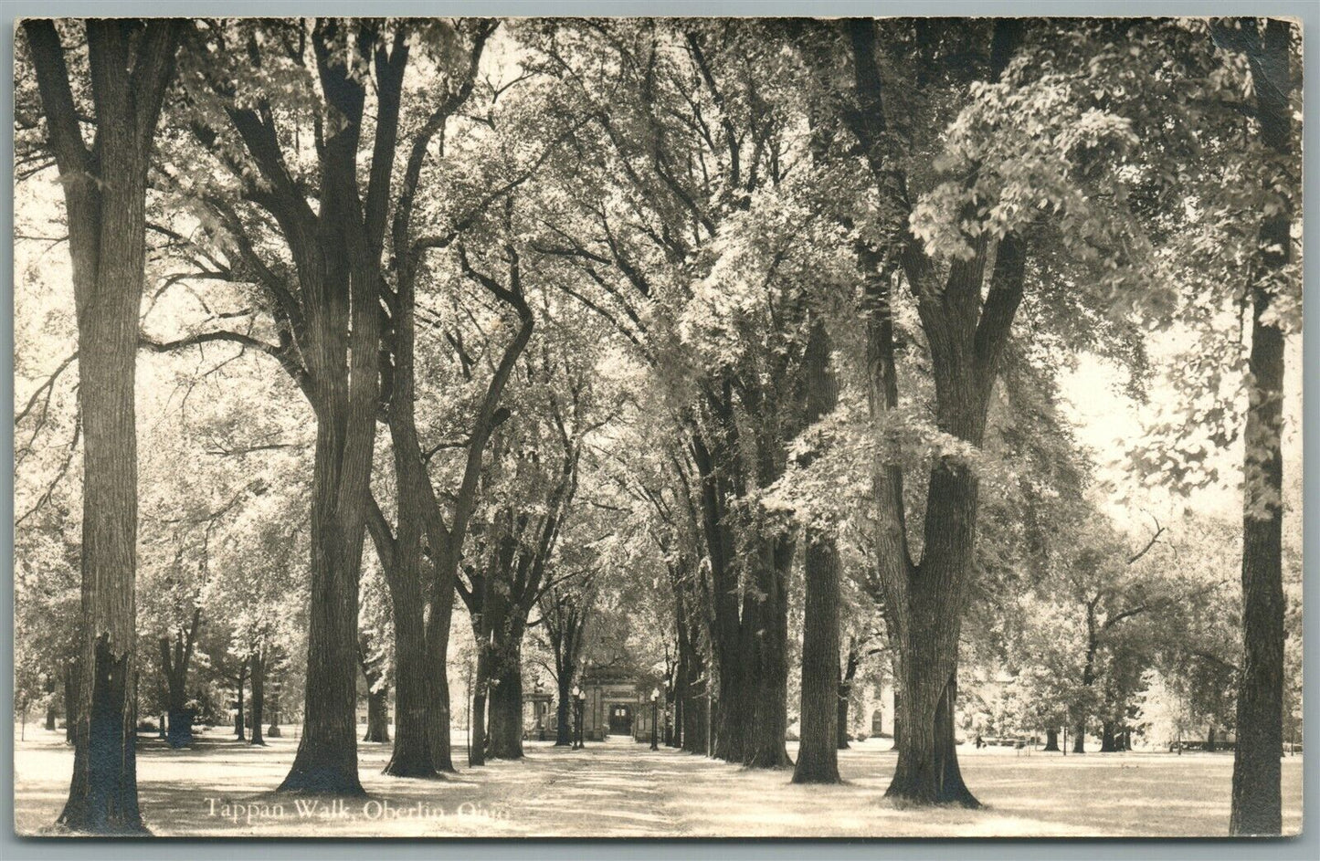 OBERLIN OH TAPPAN WALK ANTIQUE REAL PHOTO POSTCARD RPPC