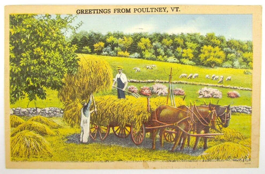 VINTAGE 1948 POSTCARD GREETINGS FROM POULTNEY VT.