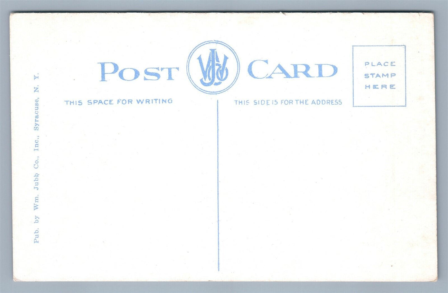 CARTHAGE NY STATE STREET LOOKING SOUTH ANTIQUE POSTCARD