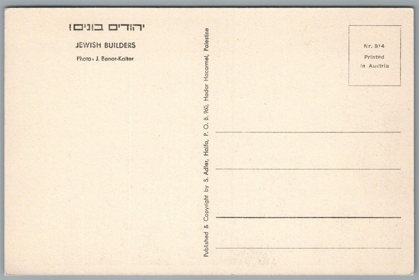ISRAEL JEWISH BUILDERS PHOTO J. BENOR-KALTER VINTAGE POSTCARD Judaica