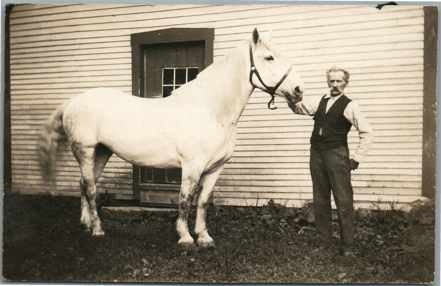 MAN w/ WHITE HORSE ANTIQUE REAL PHOTO POSTCARD RPPC