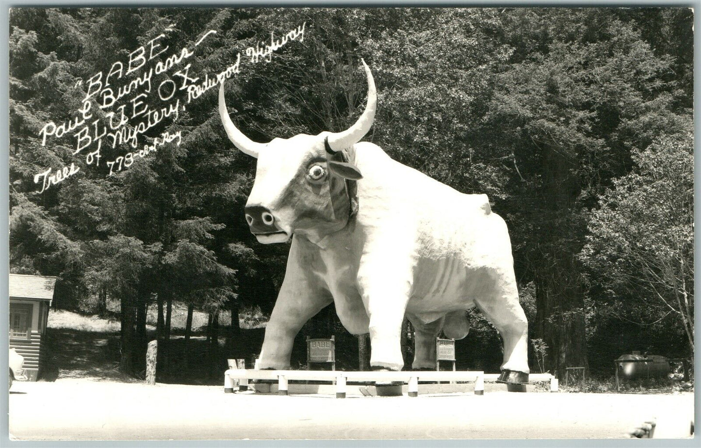 BLUE OX BUNYANS BABE TREE OF MYSTERY ANTIQUE REAL PHOTO POSTCARD RPPC