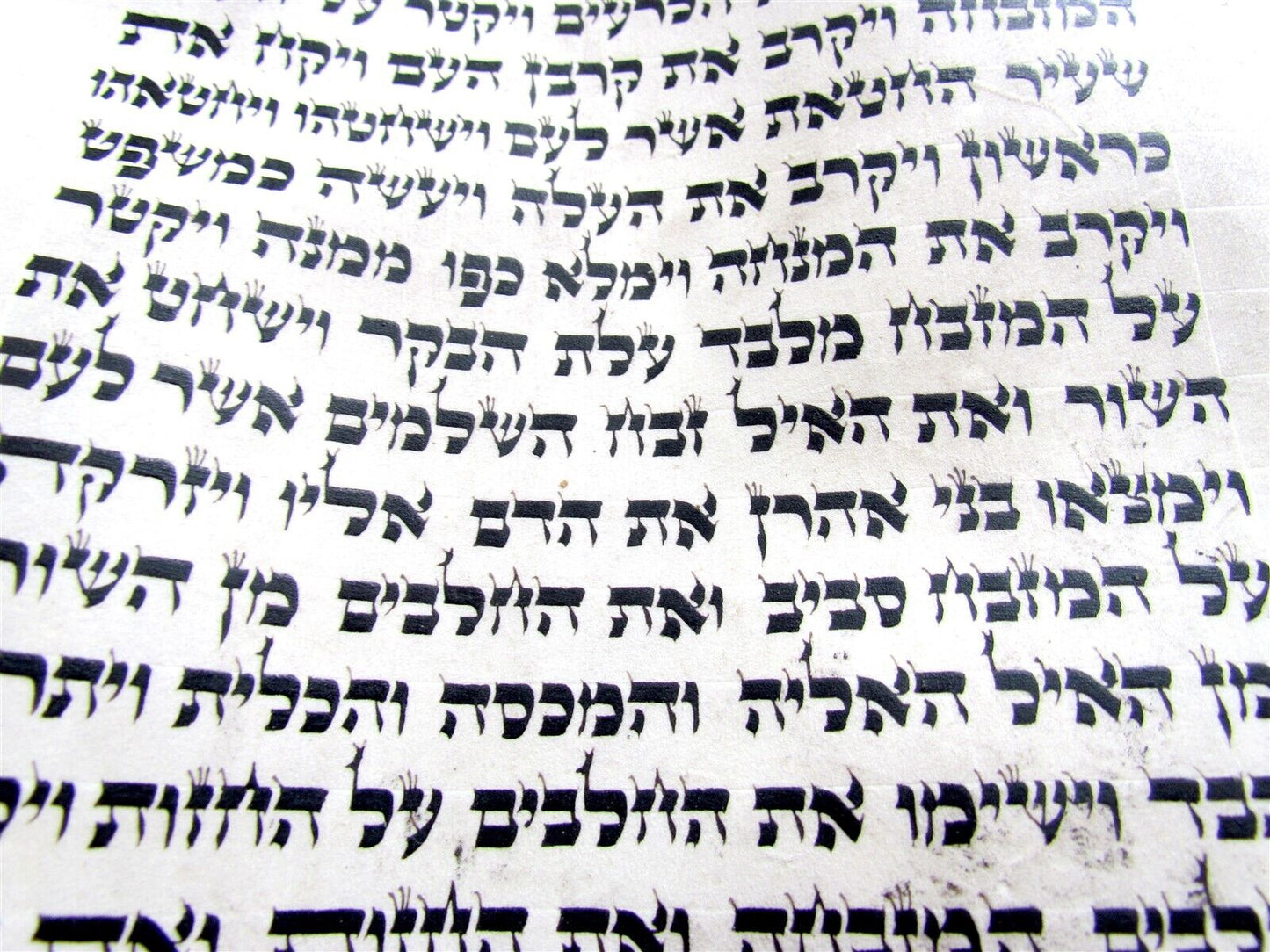 TORAH SCROLL FRAGMENT MANUSCRIPT VELLUM ANTIQUE BIBLE LEVITICUS 8:17-11:22