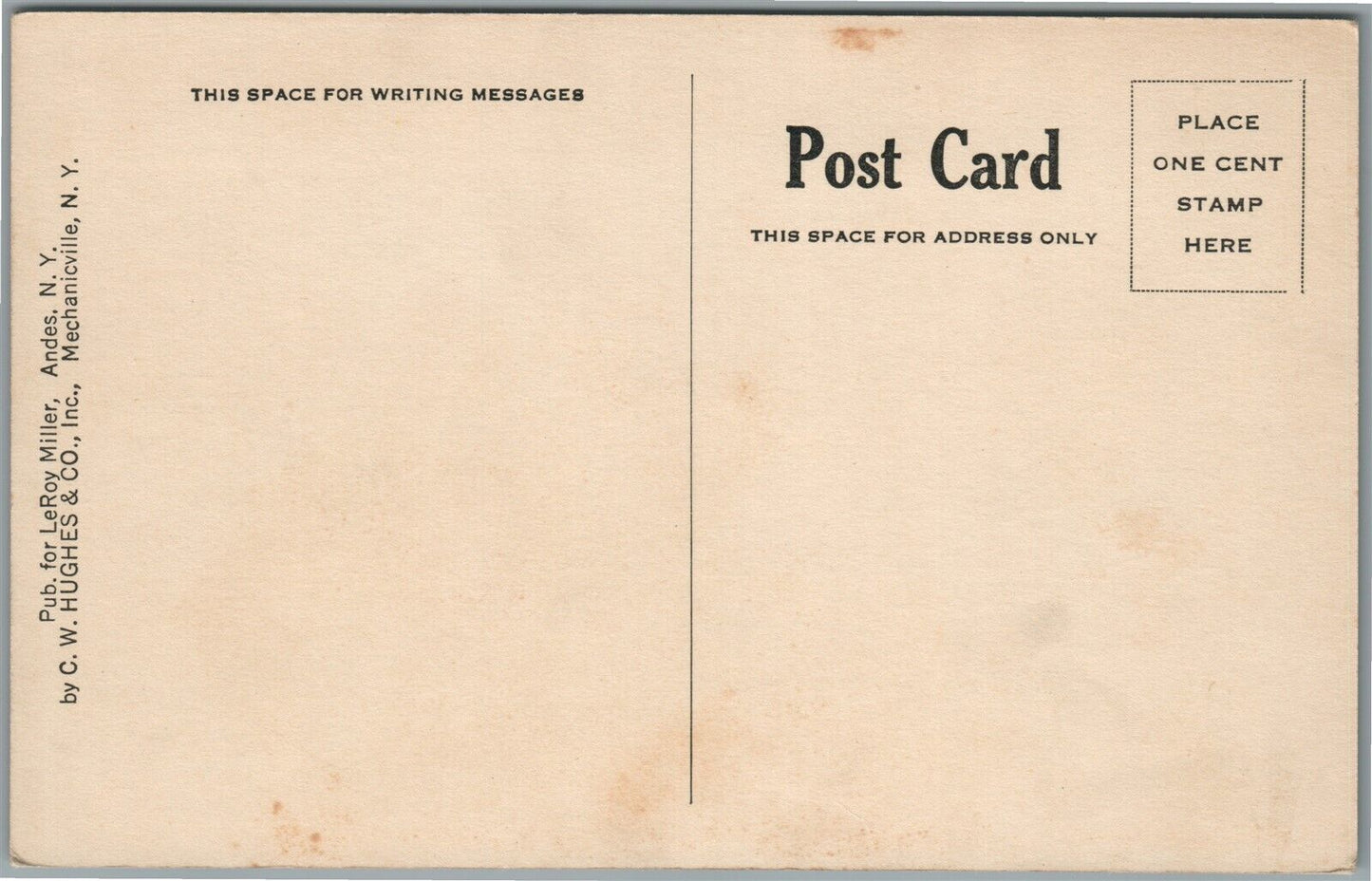 ANDES NY PERCH LAKE ANTIQUE POSTCARD