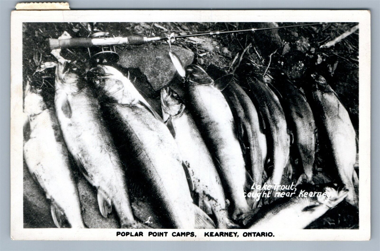 KEARNEY CANADA POPLAR POINT FISHING CAMPS ANTIQUE REAL PHOTO POSTCARD RPPC