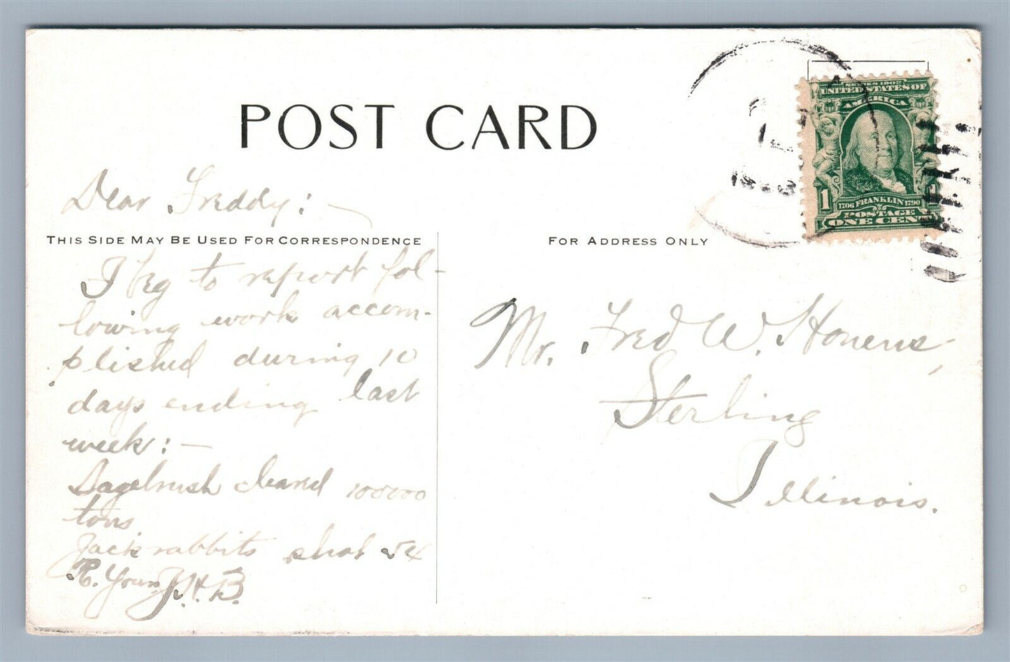 EXAGGERATED WASHINGTON BIG RED APPLES LOADING ANTIQUE POSTCARD