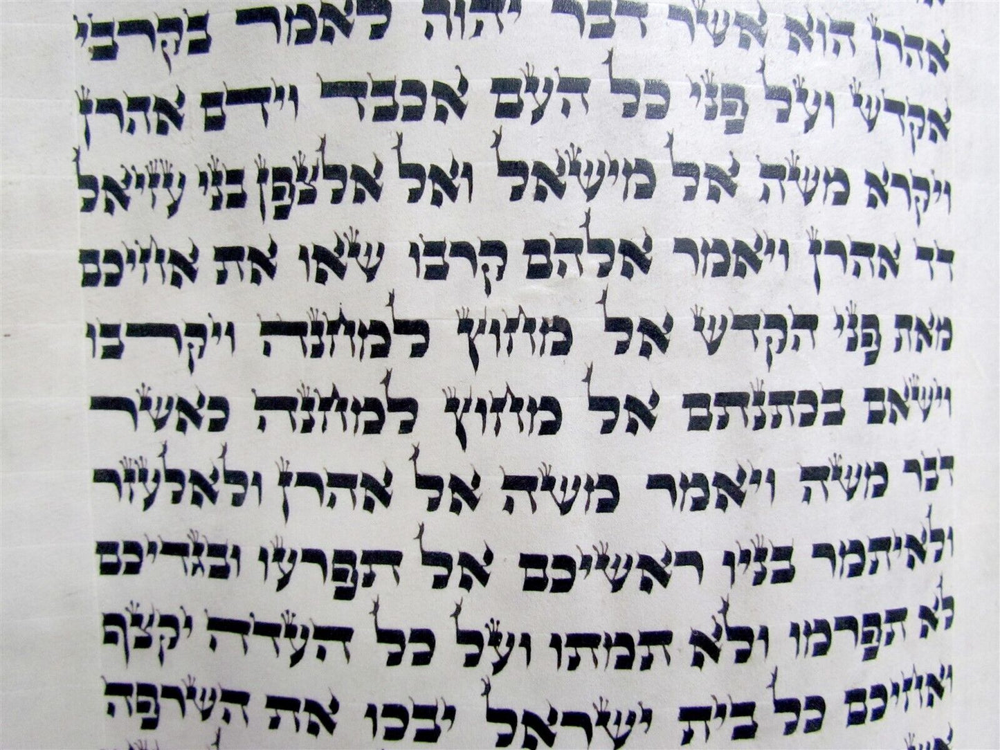 TORAH SCROLL FRAGMENT MANUSCRIPT VELLUM ANTIQUE BIBLE LEVITICUS 8:17-11:22