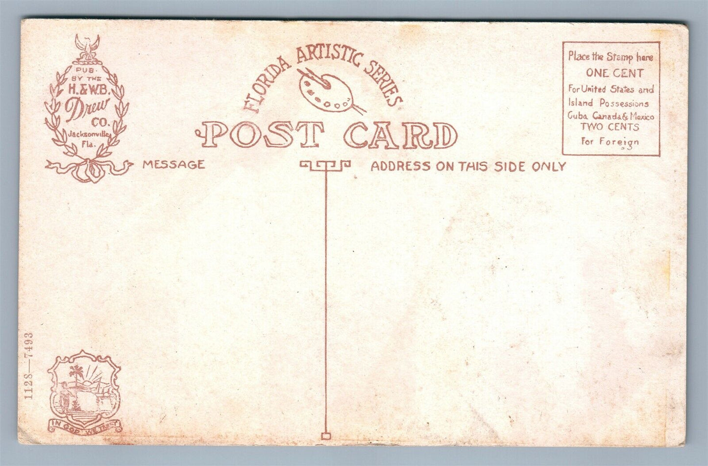 CELERY FARM IN FLORIDA ANTIQUE POSTCARD