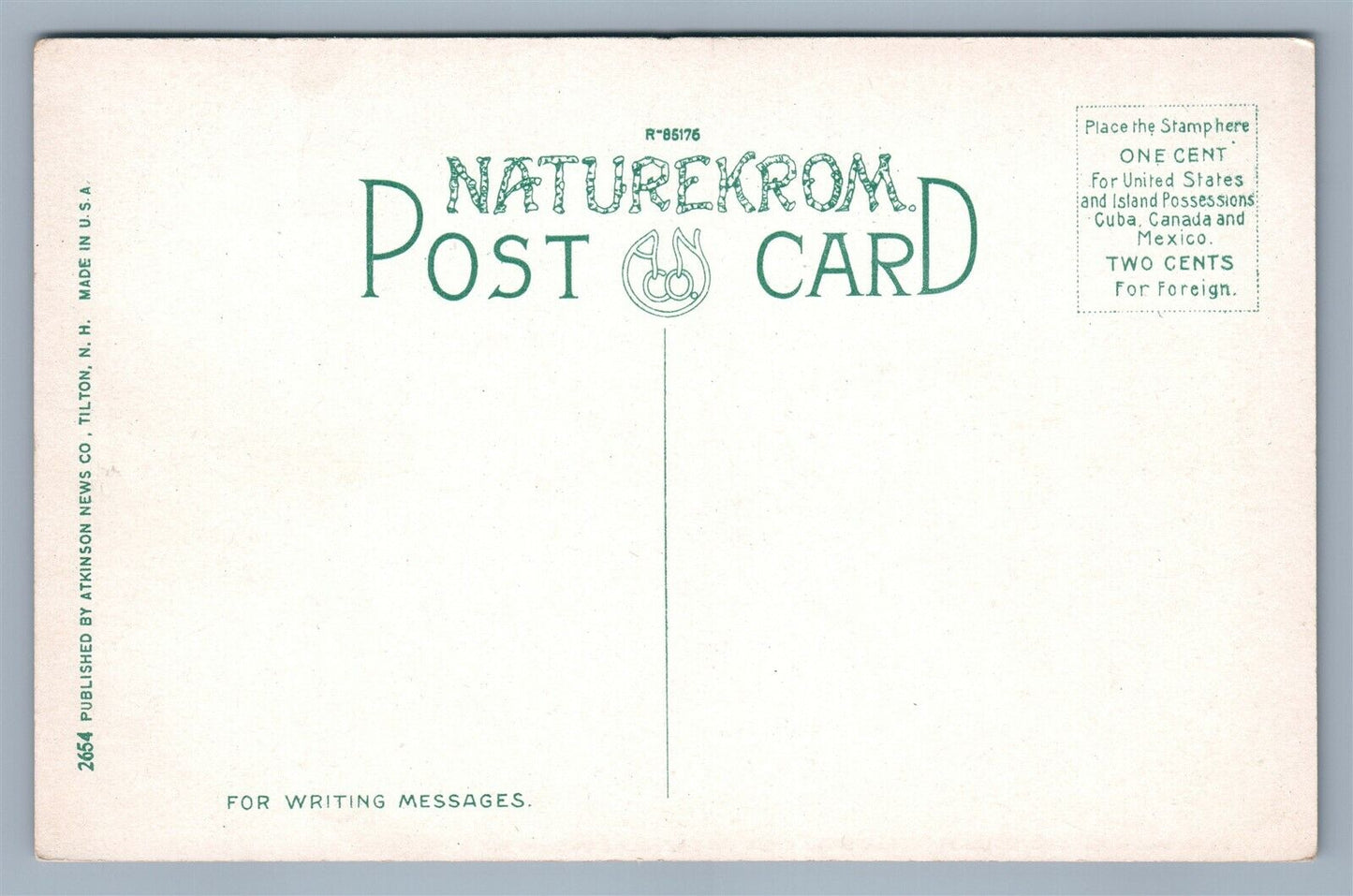 LAKE WINNIPESAUKEE RAILROAD STATION & WHARF ANTIQUE POSTCARD RAILWAY DEPOT