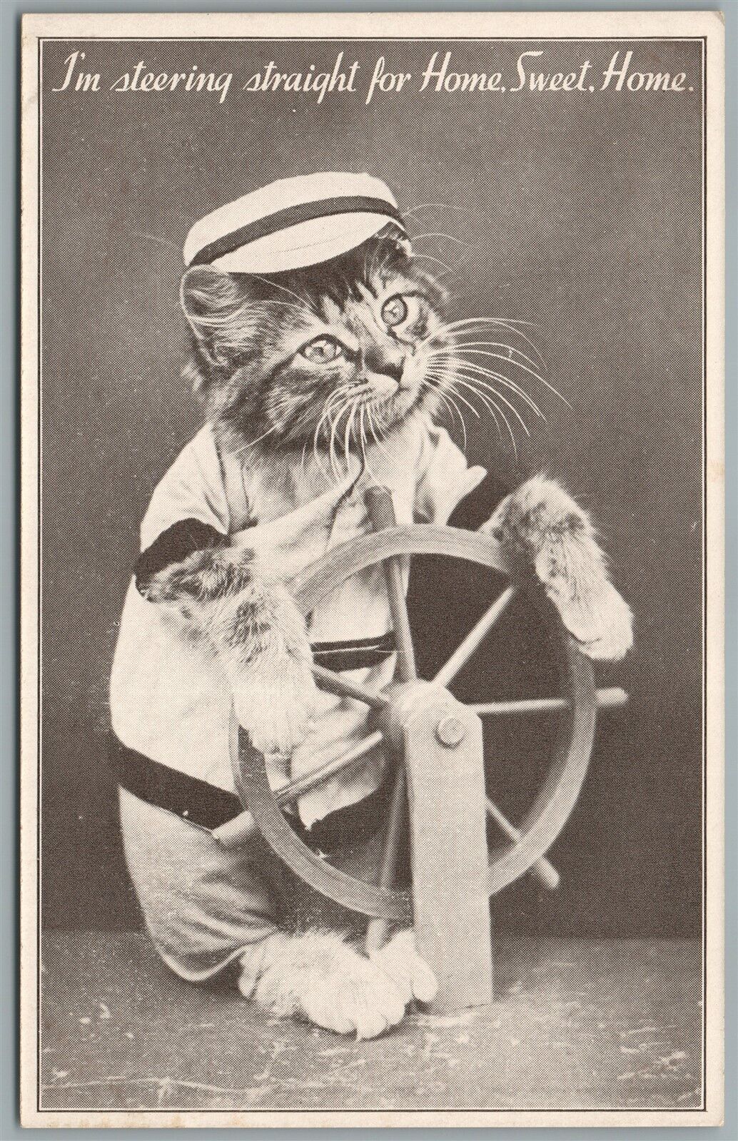 CAT w/ SHIP WHEEL ANTIQUE POSTCARD