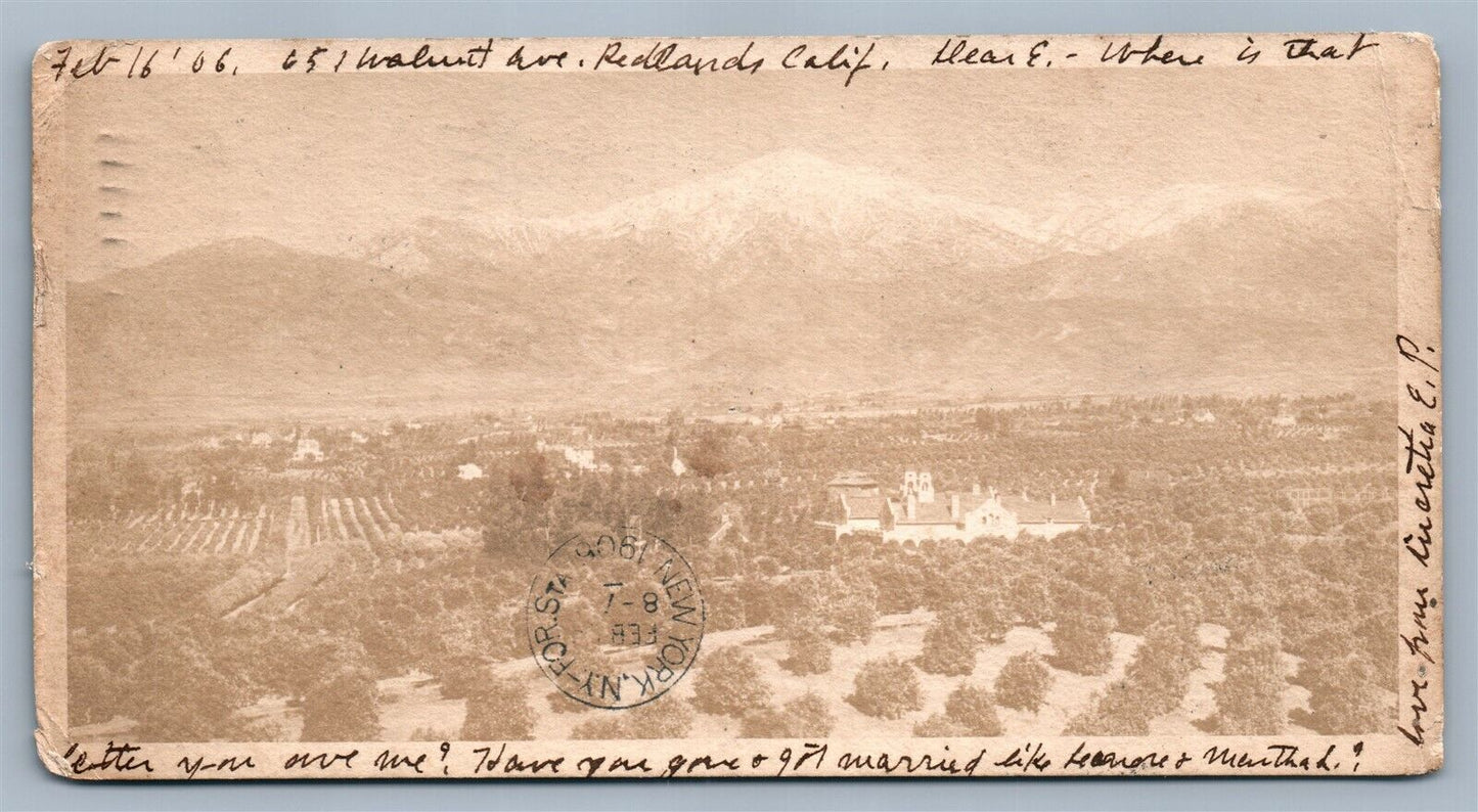 REEDLAND CA WALNUT AVENUE ANTIQUE POSTCARD