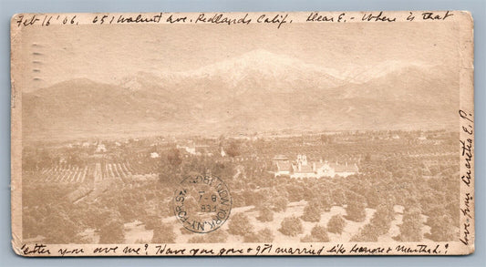 REEDLAND CA WALNUT AVENUE ANTIQUE POSTCARD