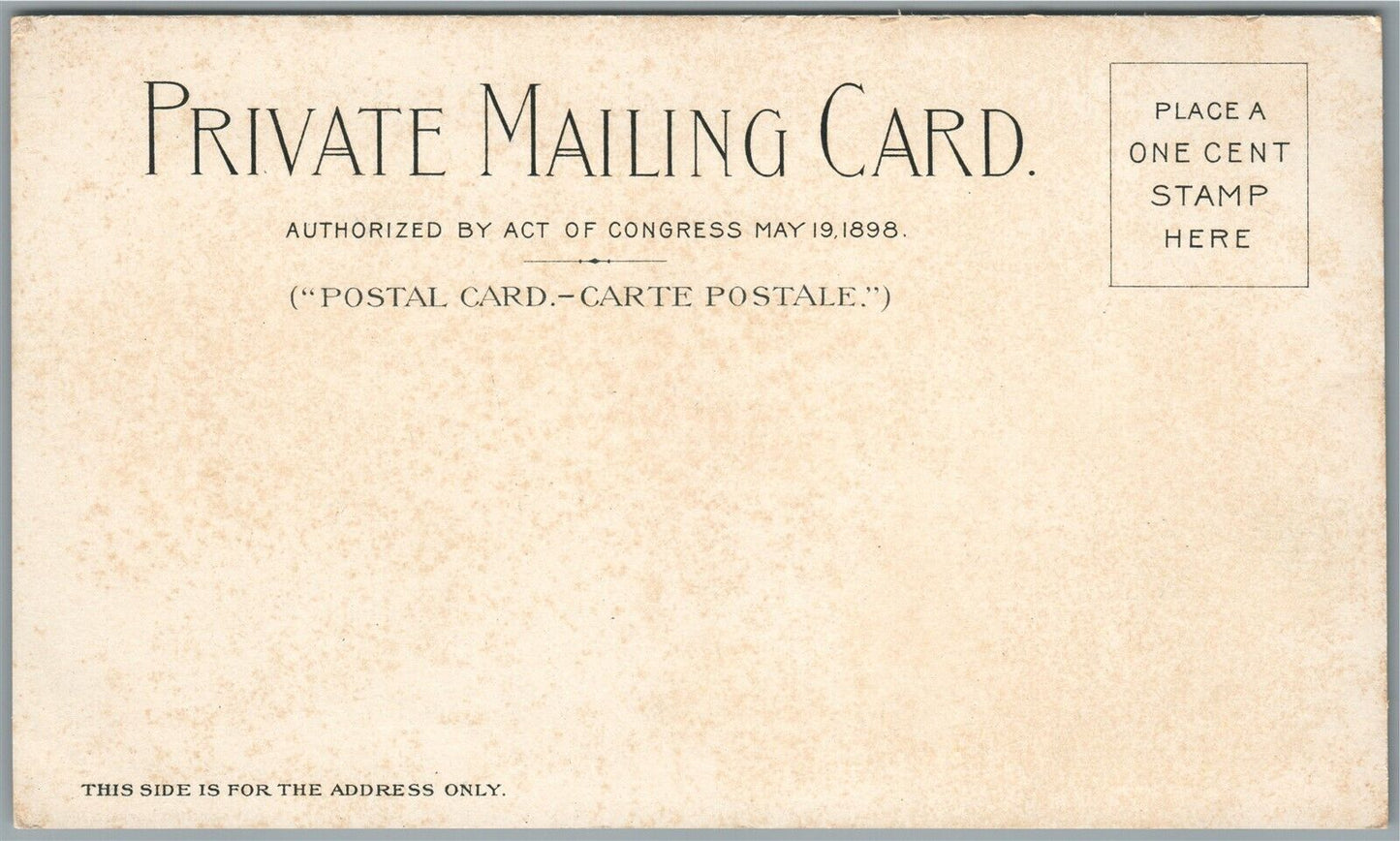 BUFFALO NY PAN AMERICAN EXPO ANTIQUE PRIVATE MAILING POSTCARD US Govt building