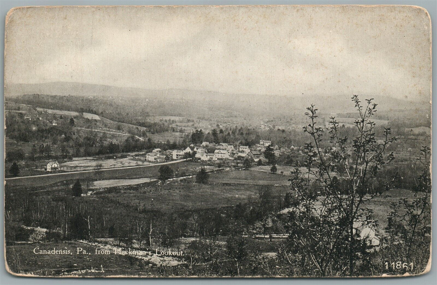 CANADENSIS PA BIRDS EYE VIEW ANTIQUE POSTCARD