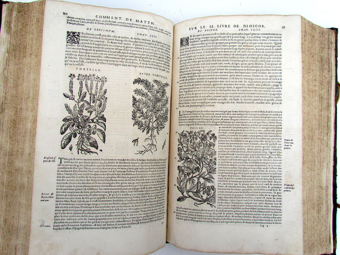 1579 MATTHIOLE COMMENTARIES ILLUSTRATED PLANTS ANIMALS antique 16th cent. FOLIO