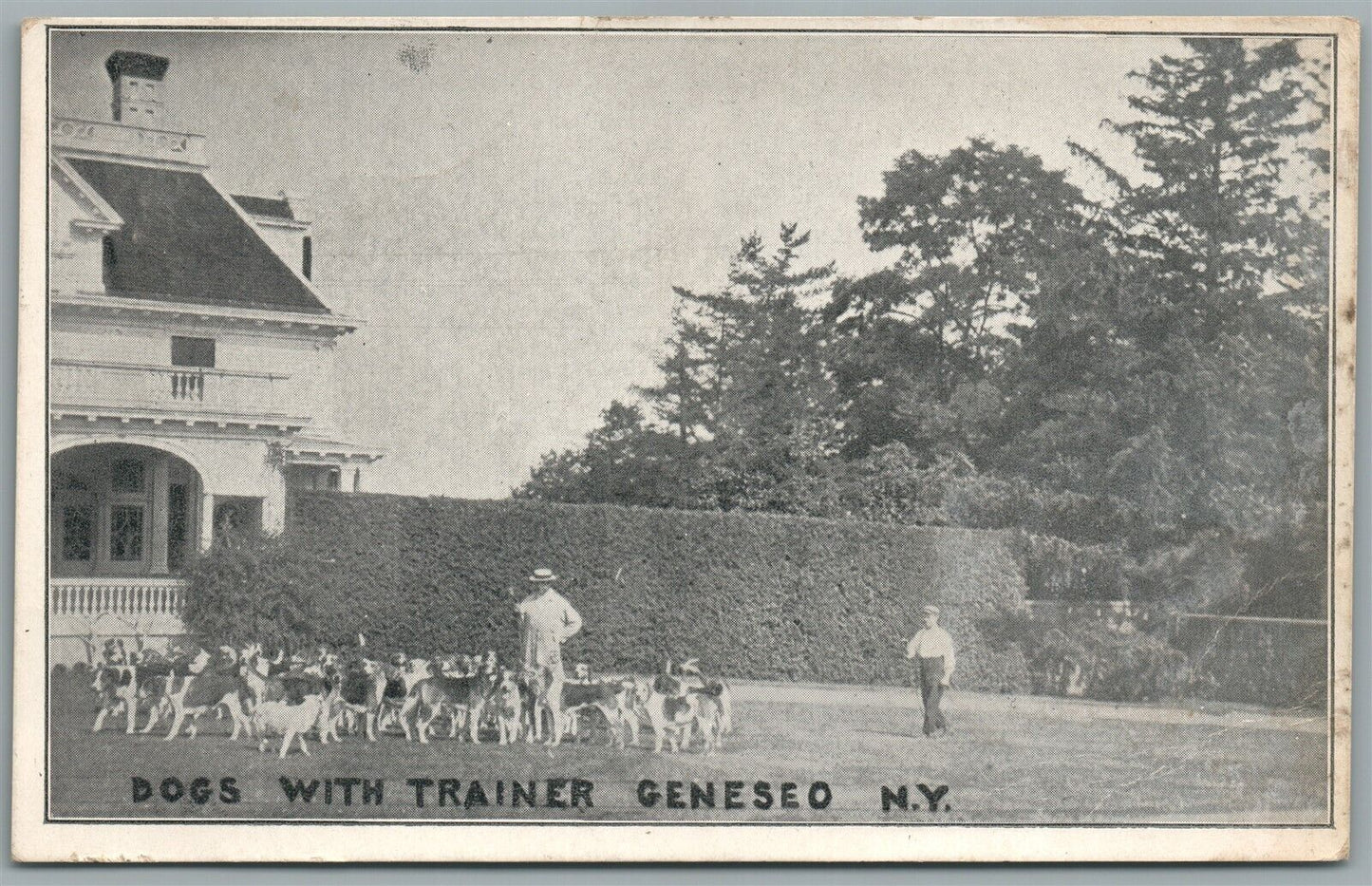 GENESEO NY DOGS w/ TRAINER ANTIQUE POSTCARD