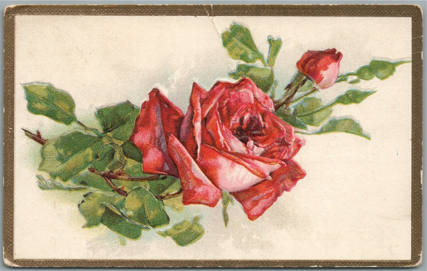 LESTERSHIRE NY MILLINERY STOCK GREEN TRADING CARDS ADVERTISING ANTIQUE POSTCARD