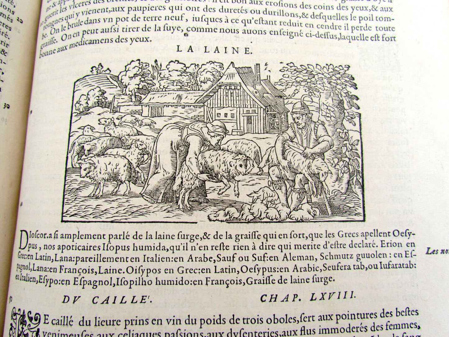 1579 MATTHIOLE COMMENTARIES ILLUSTRATED PLANTS ANIMALS antique 16th cent. FOLIO