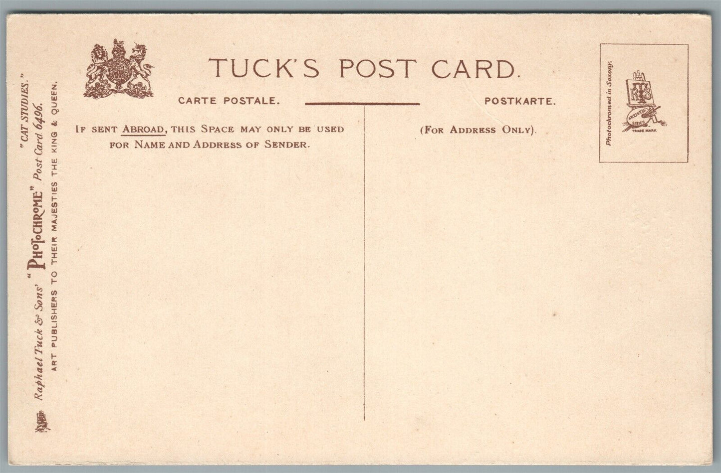 CATS in CHINA BOWL ANTIQUE POSTCARD