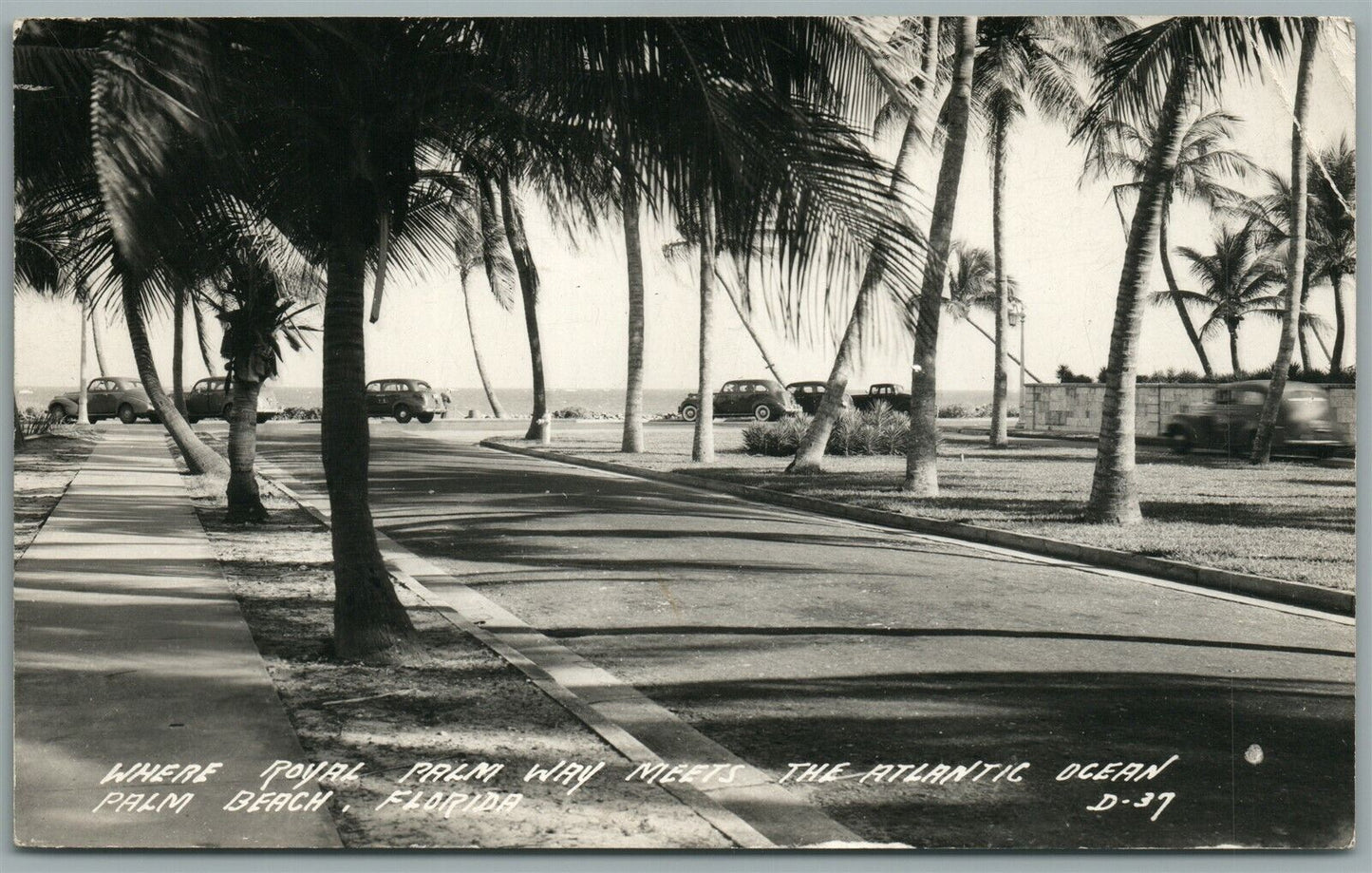 PALM BEACH FL ROYAL PALM WAY VINTAGE REAL PHOTO POSTCARD RPPC