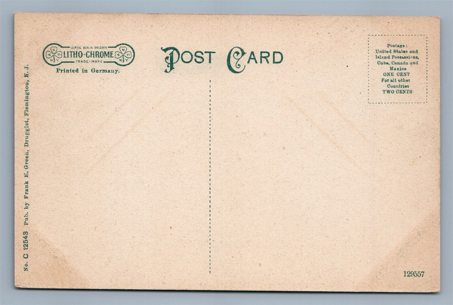FLEMINGTON NJ PUBLIC SCHOOL ANTIQUE POSTCARD