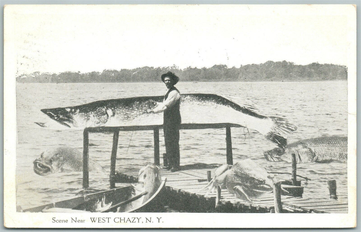 EXAGGERATED FISHING 1916 ANTIQUE POSTCARD WEST CHAZY N.Y.