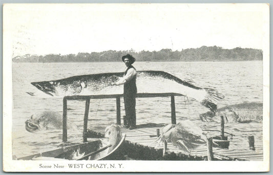 EXAGGERATED FISHING 1916 ANTIQUE POSTCARD WEST CHAZY N.Y.